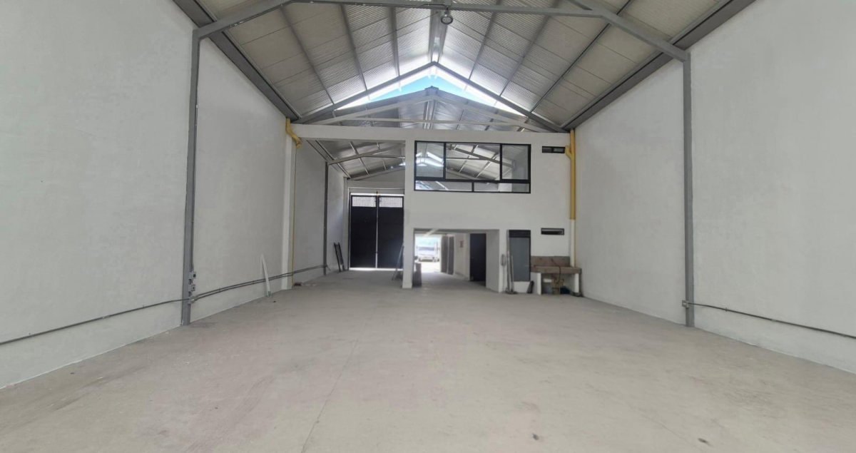 Bodega - Foto 5