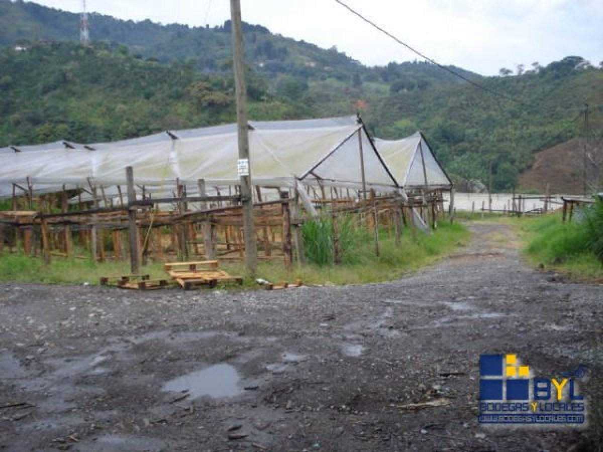 Lote - Foto 2