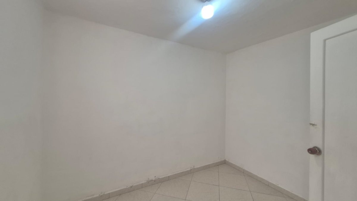 Bodega - Foto 2