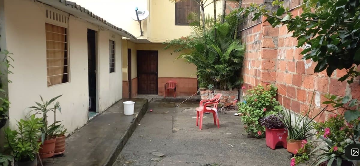 Lote - Foto 7