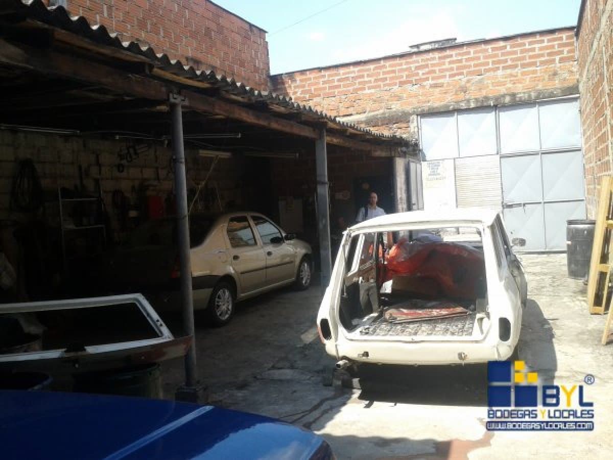Bodega - Foto 4