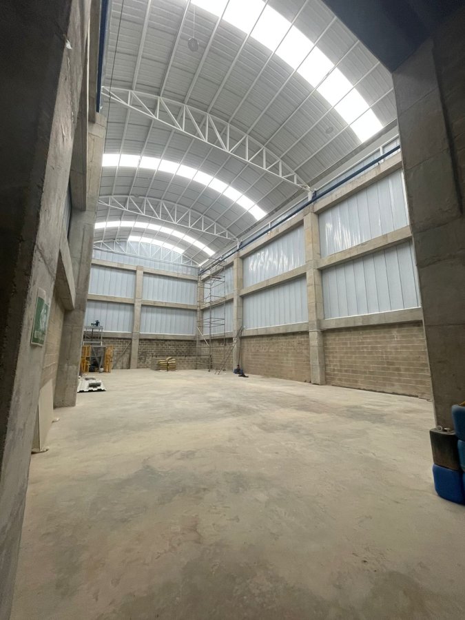 Bodega - Foto 2