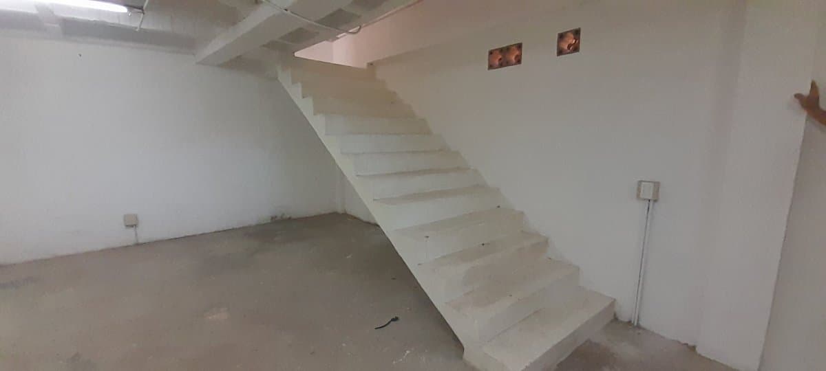 Bodega - Foto 5