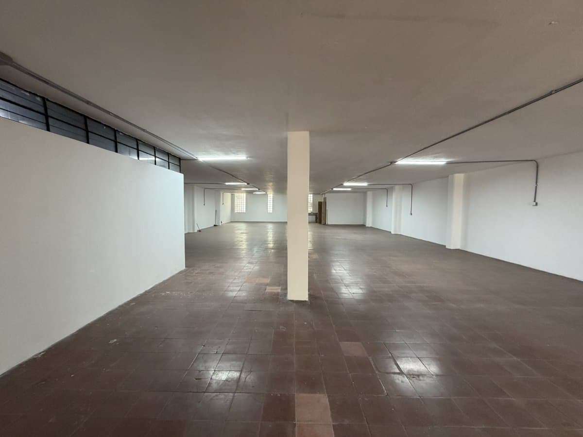Bodega - Foto 4