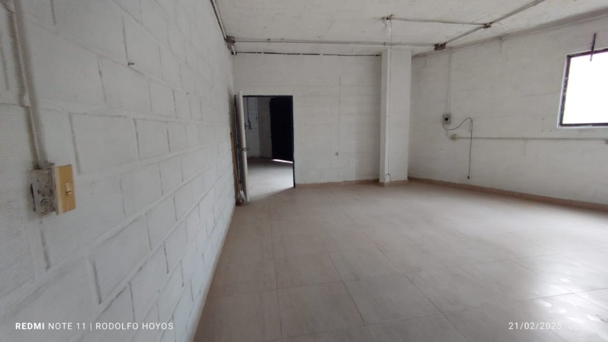 Bodega - Foto 11