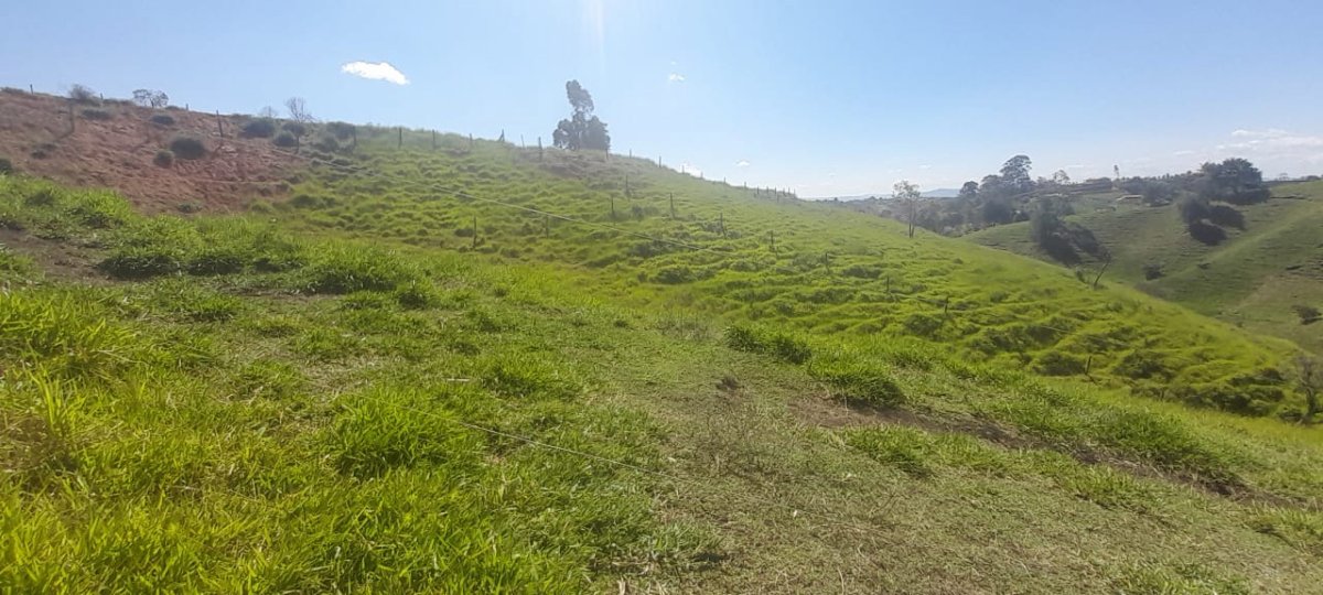 Lote - Foto 16