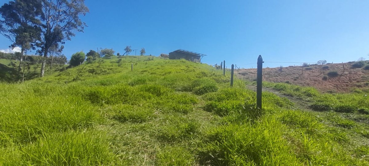 Lote - Foto 6