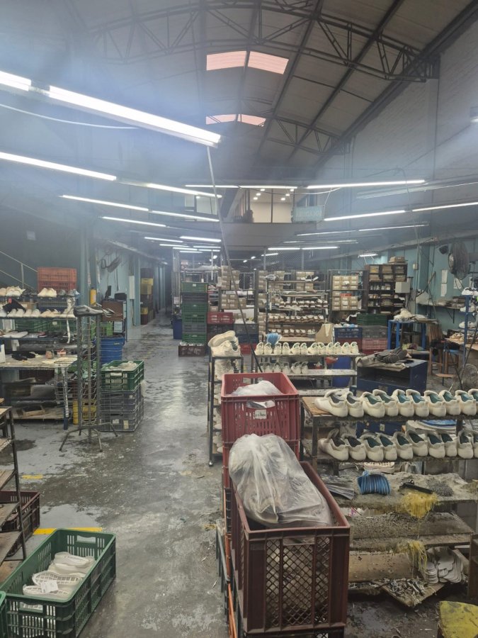 Bodega - Foto 2