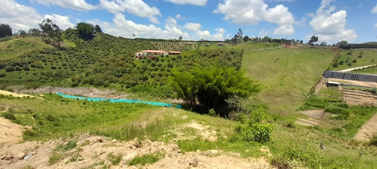 Lote - Foto 5