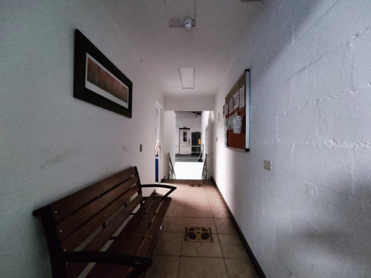 Bodega - Foto 14