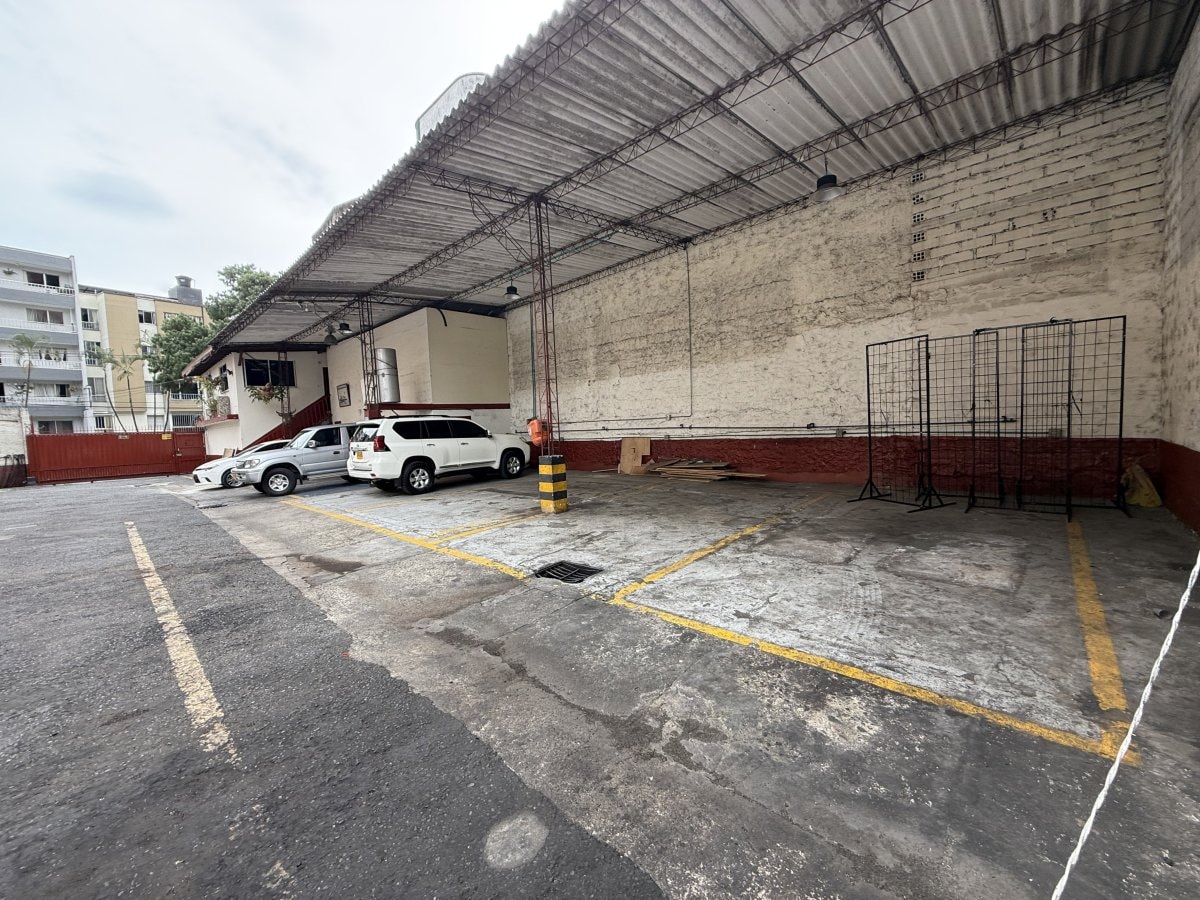 Bodega - Foto 14
