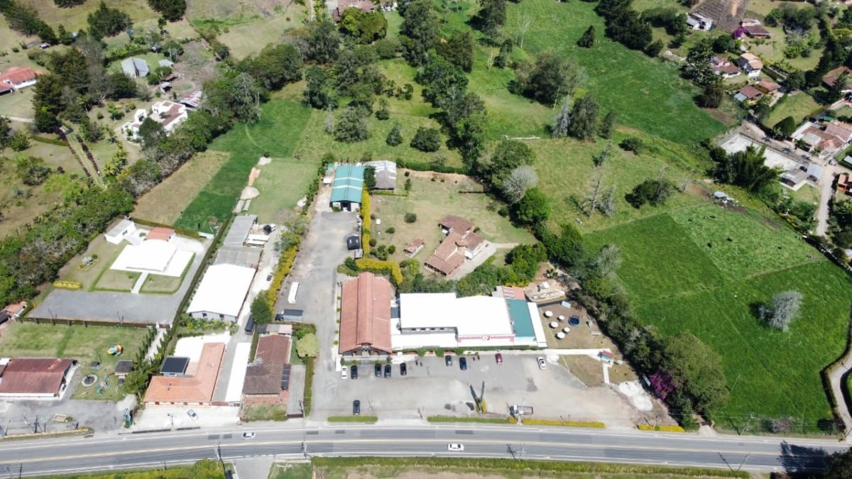 Lote - Foto 4