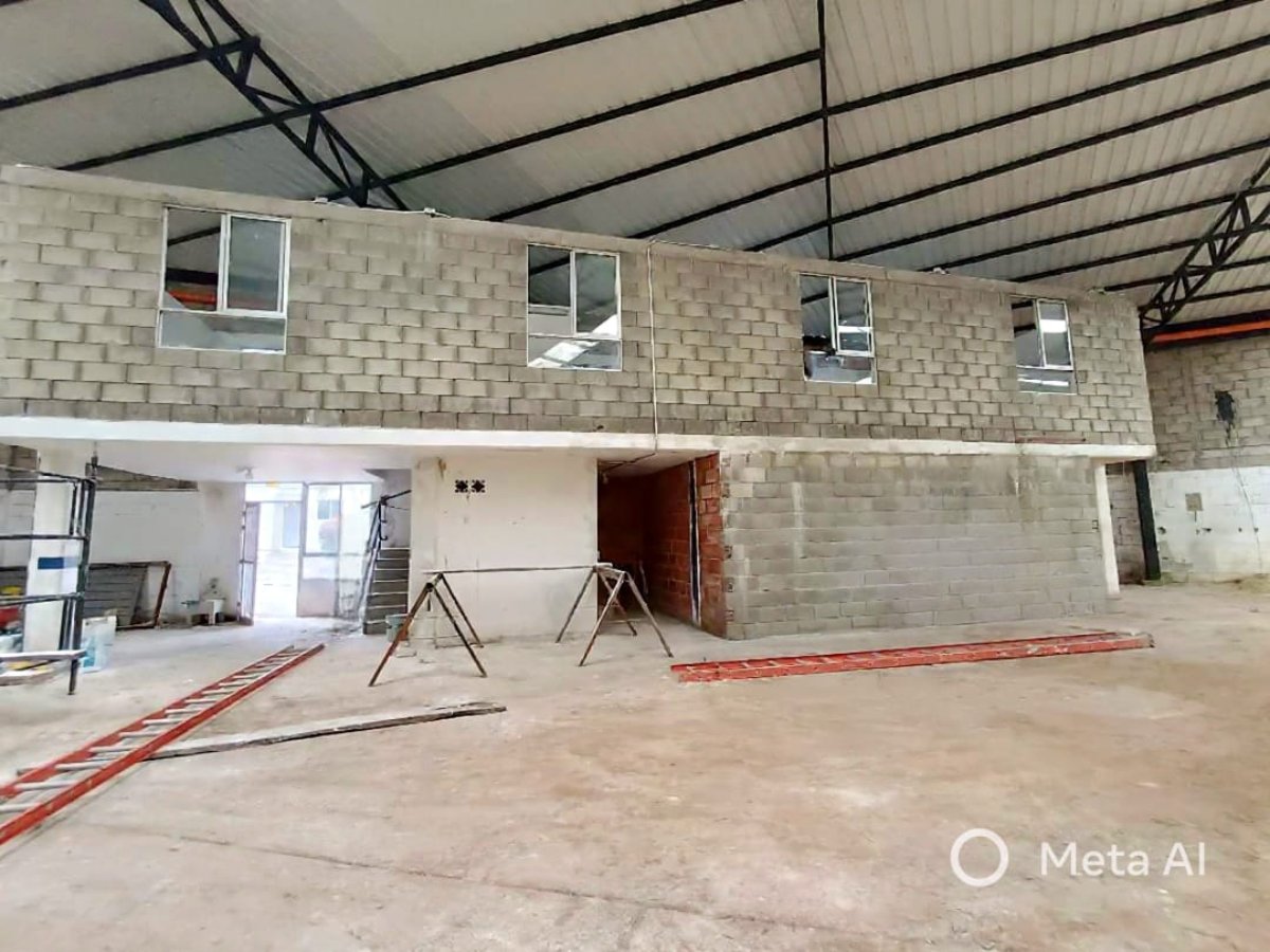 Bodega - Foto 4