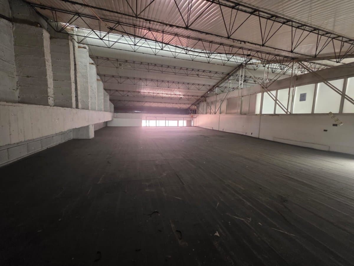 Bodega - Foto 6