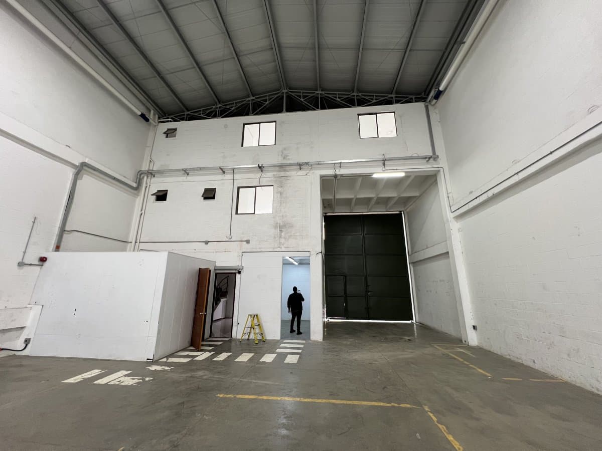 Bodega - Foto 5