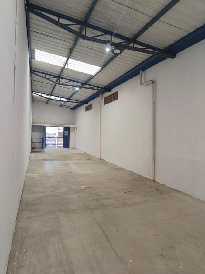 Bodega - Foto 4