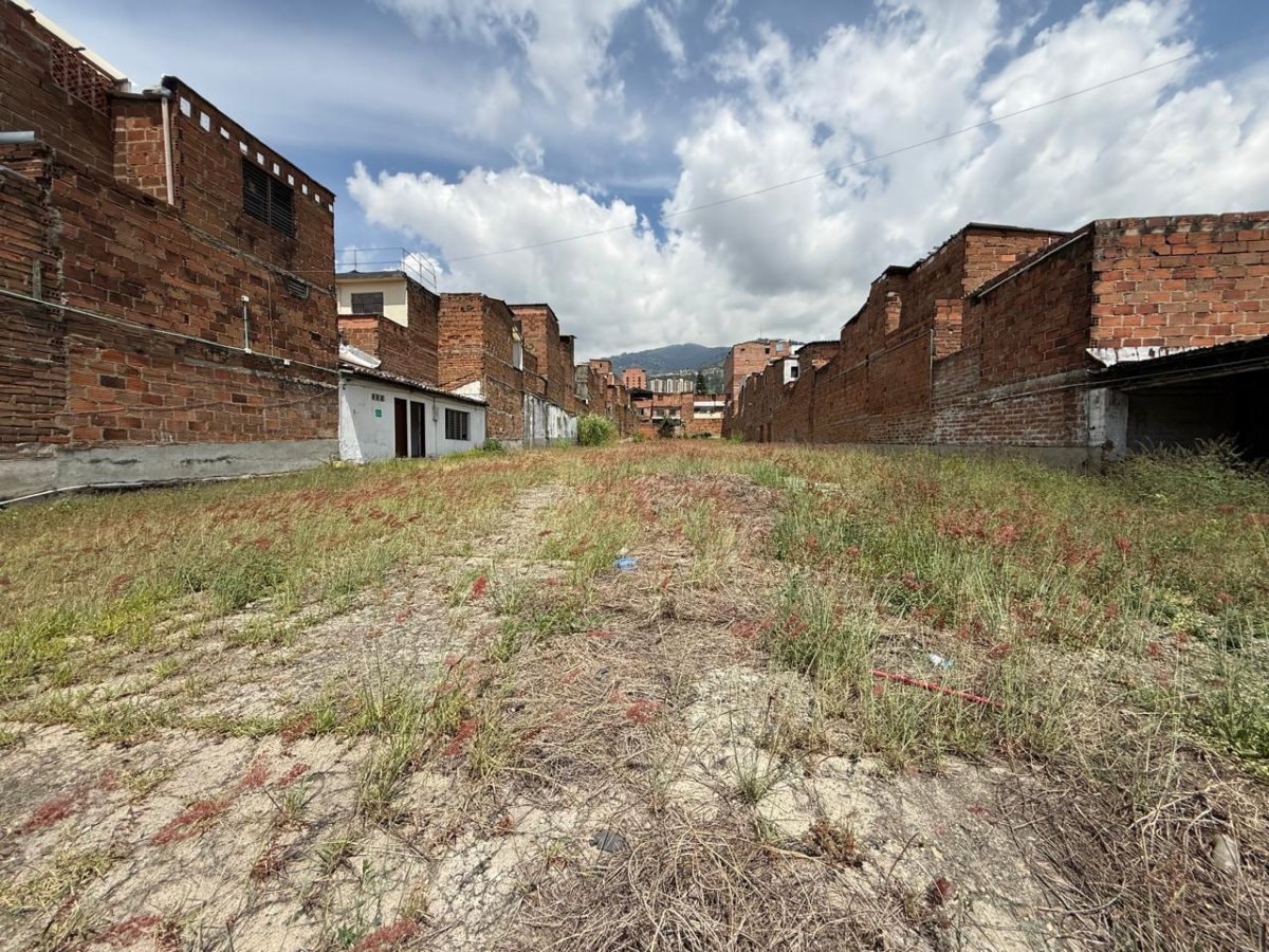 Lote - Foto 8