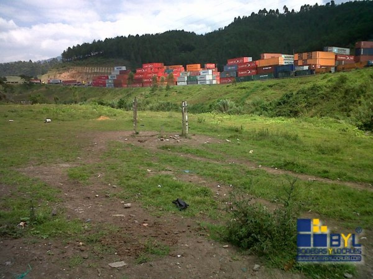 LOTE