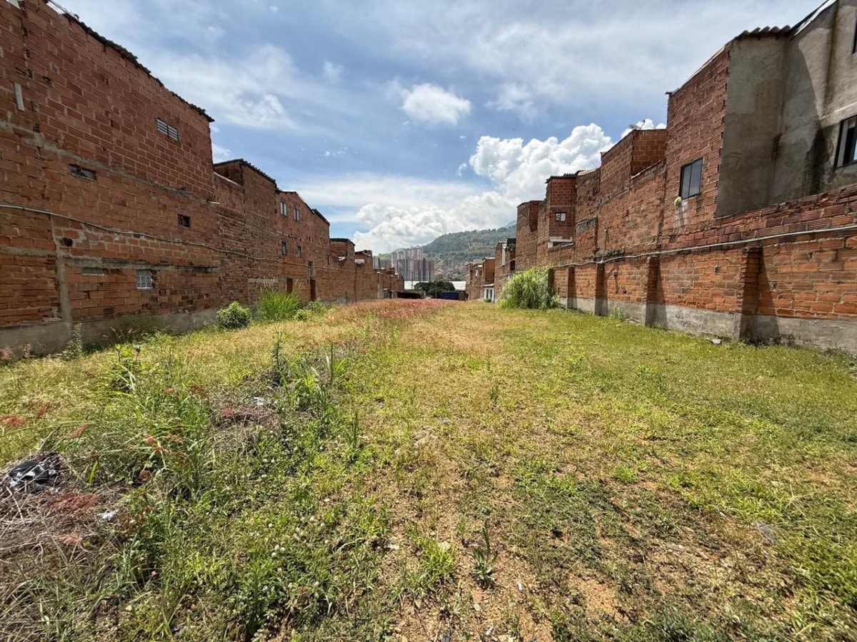Lote - Foto 2