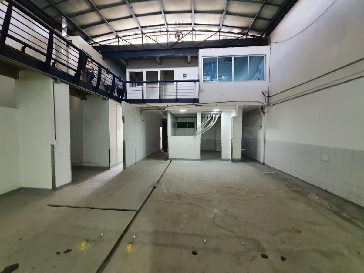 Bodega - Foto 3