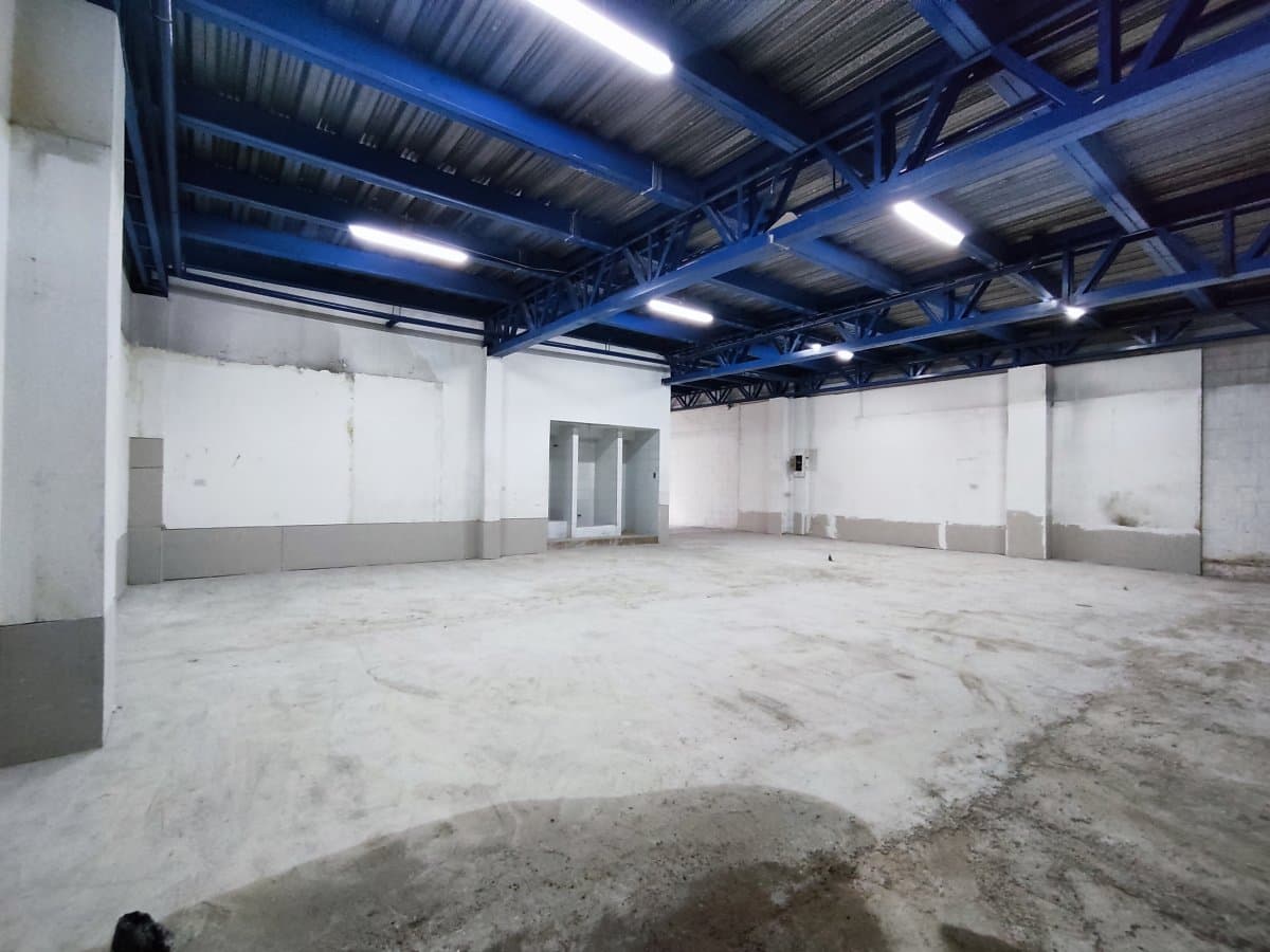 Bodega - Foto 5