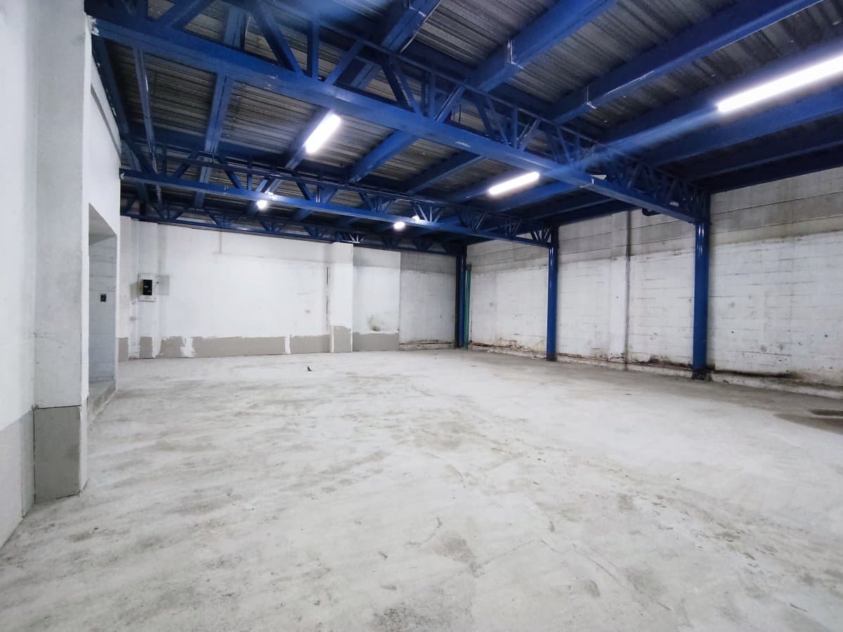 Bodega - Foto 6
