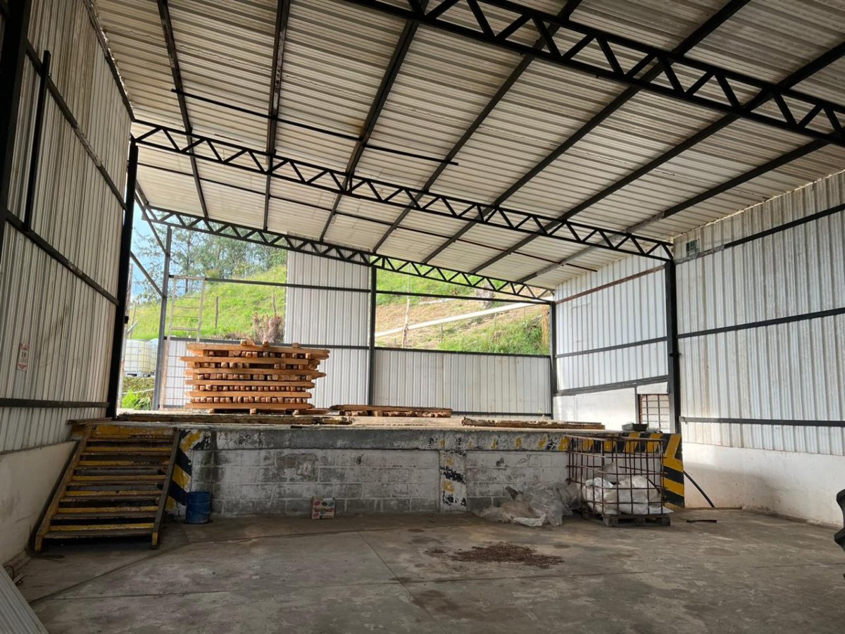 Bodega - Foto 5