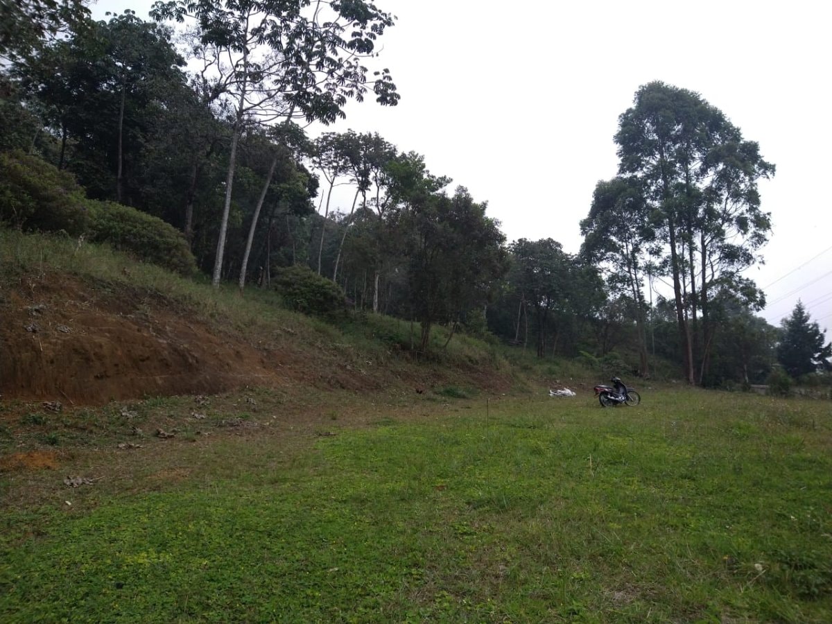 Lote - Foto 3