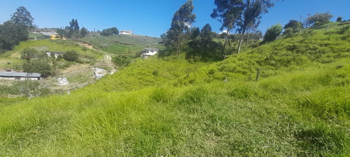 Lote - Foto 7