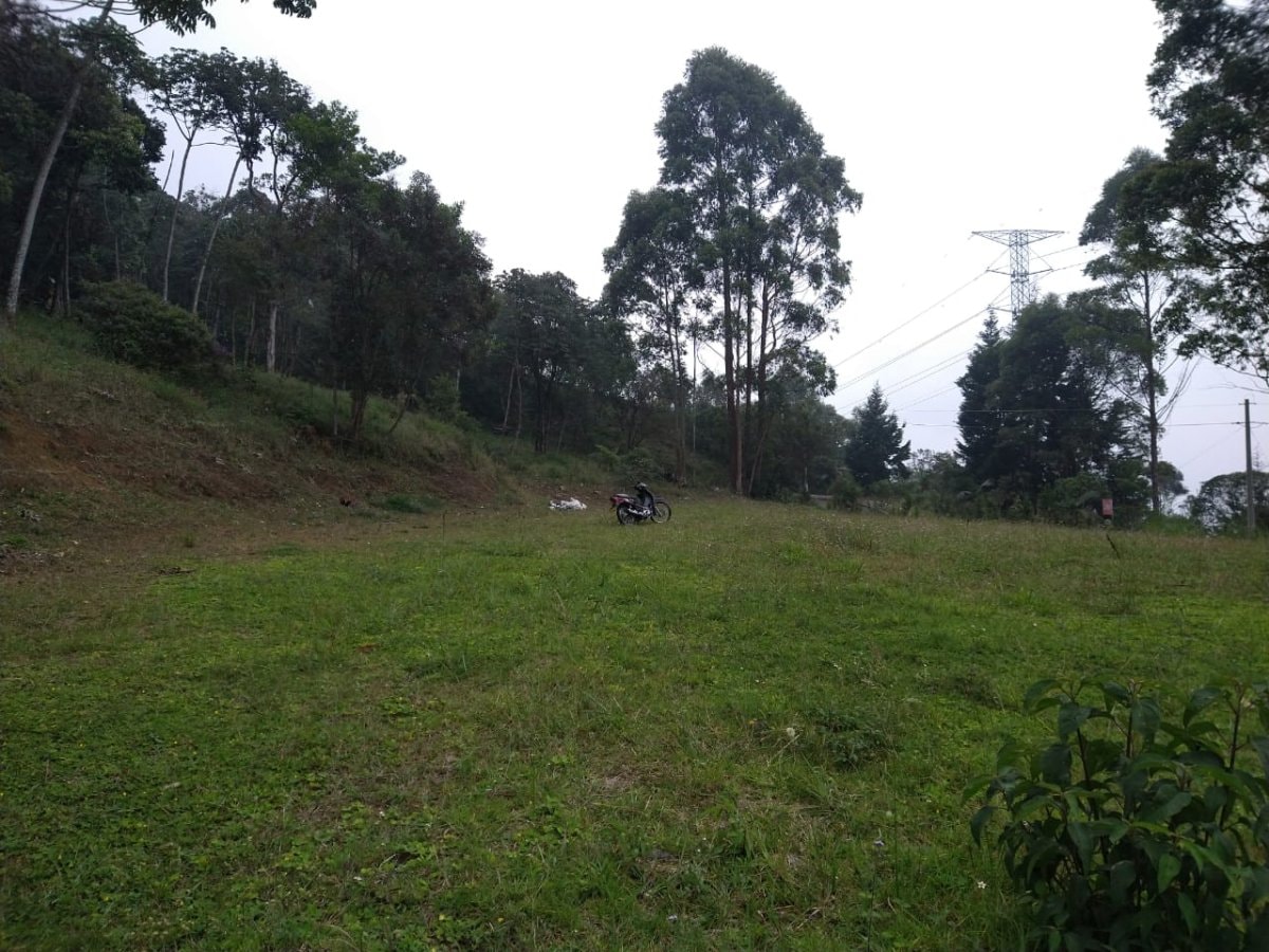 Lote - Foto 4