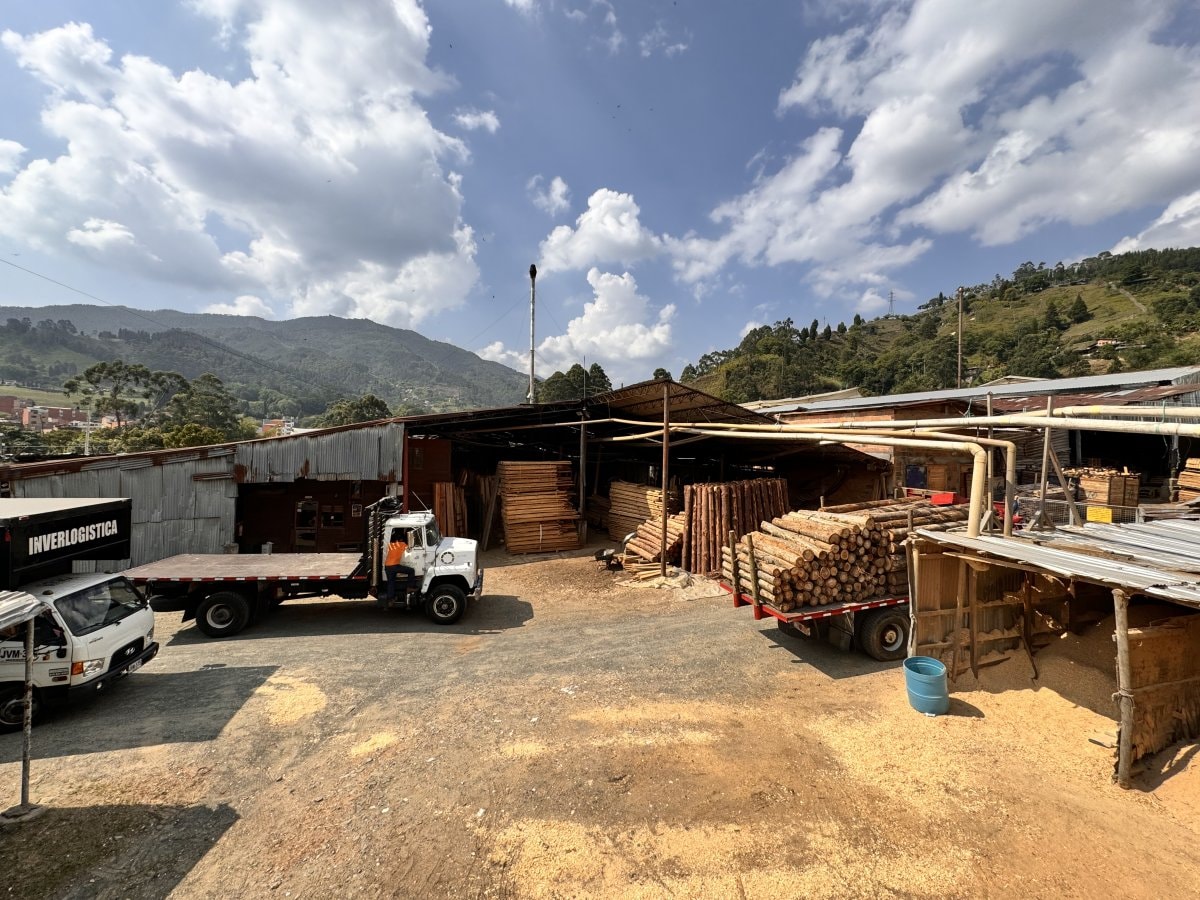Lote - Foto 2