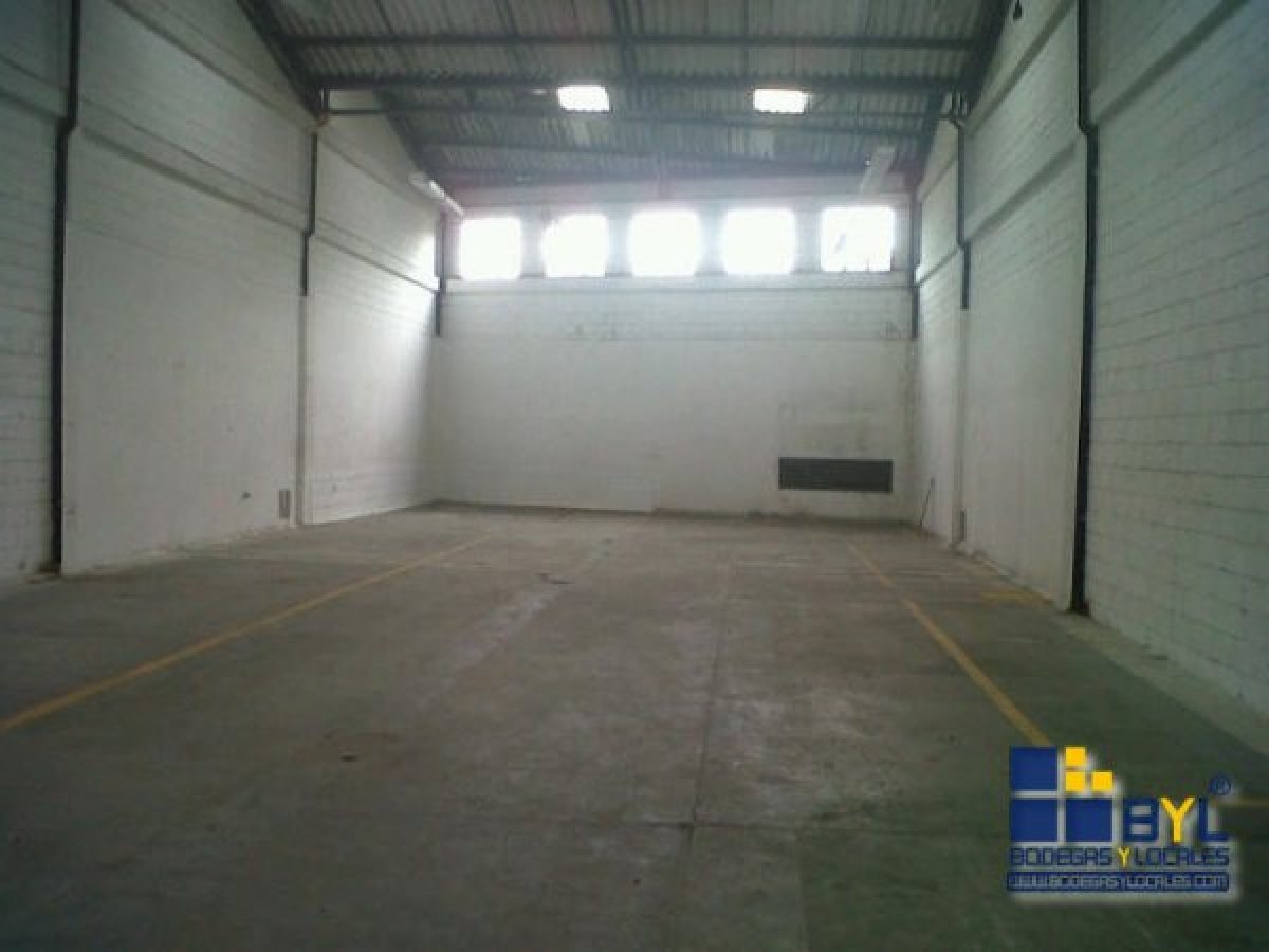 Bodega - Foto 3