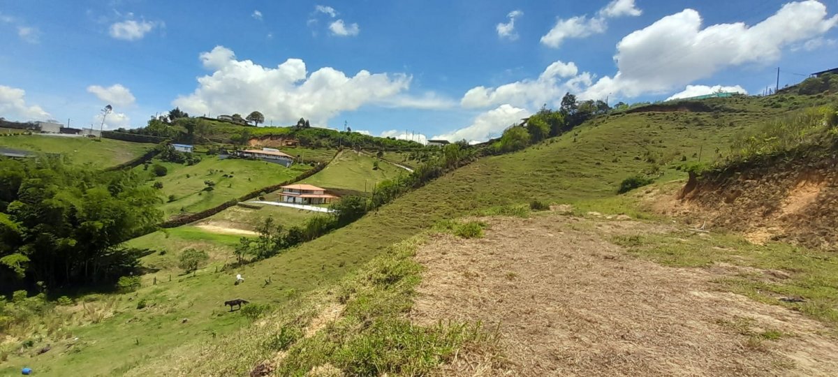 Lote - Foto 9