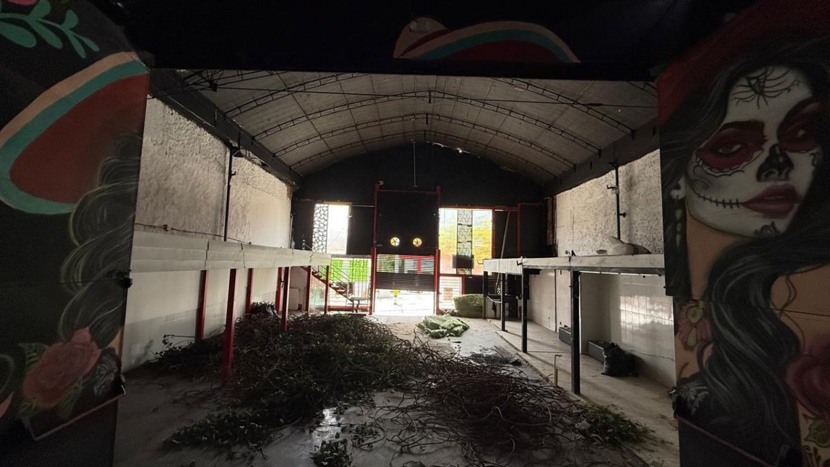 Bodega - Foto 4