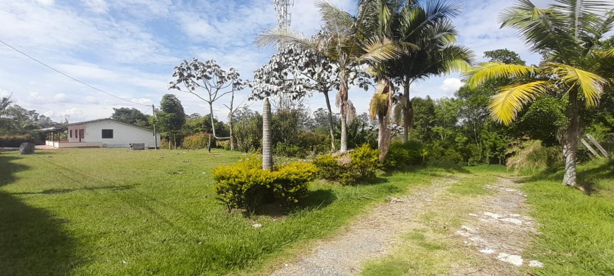 Local - Foto 2