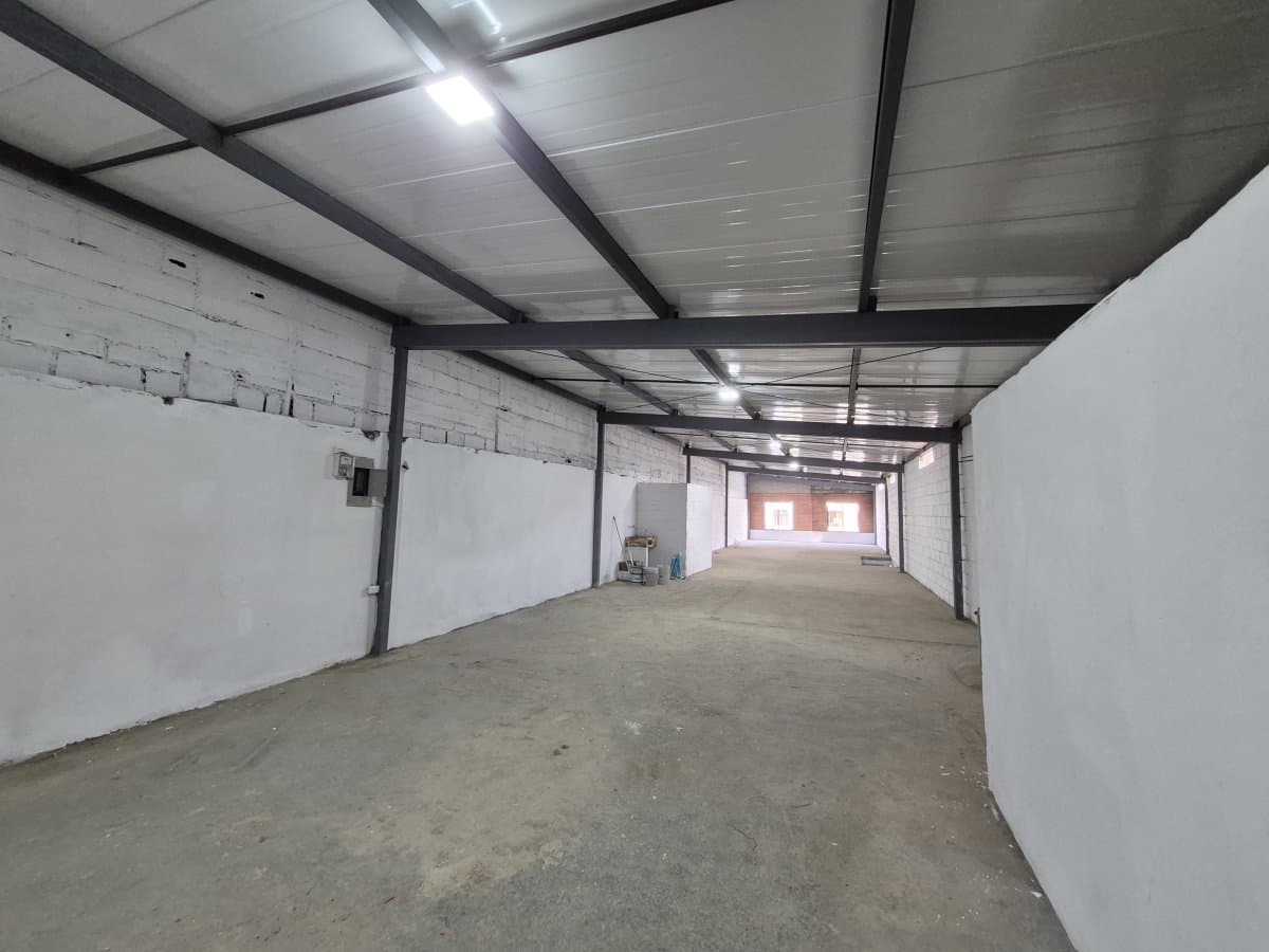 Bodega - Foto 2