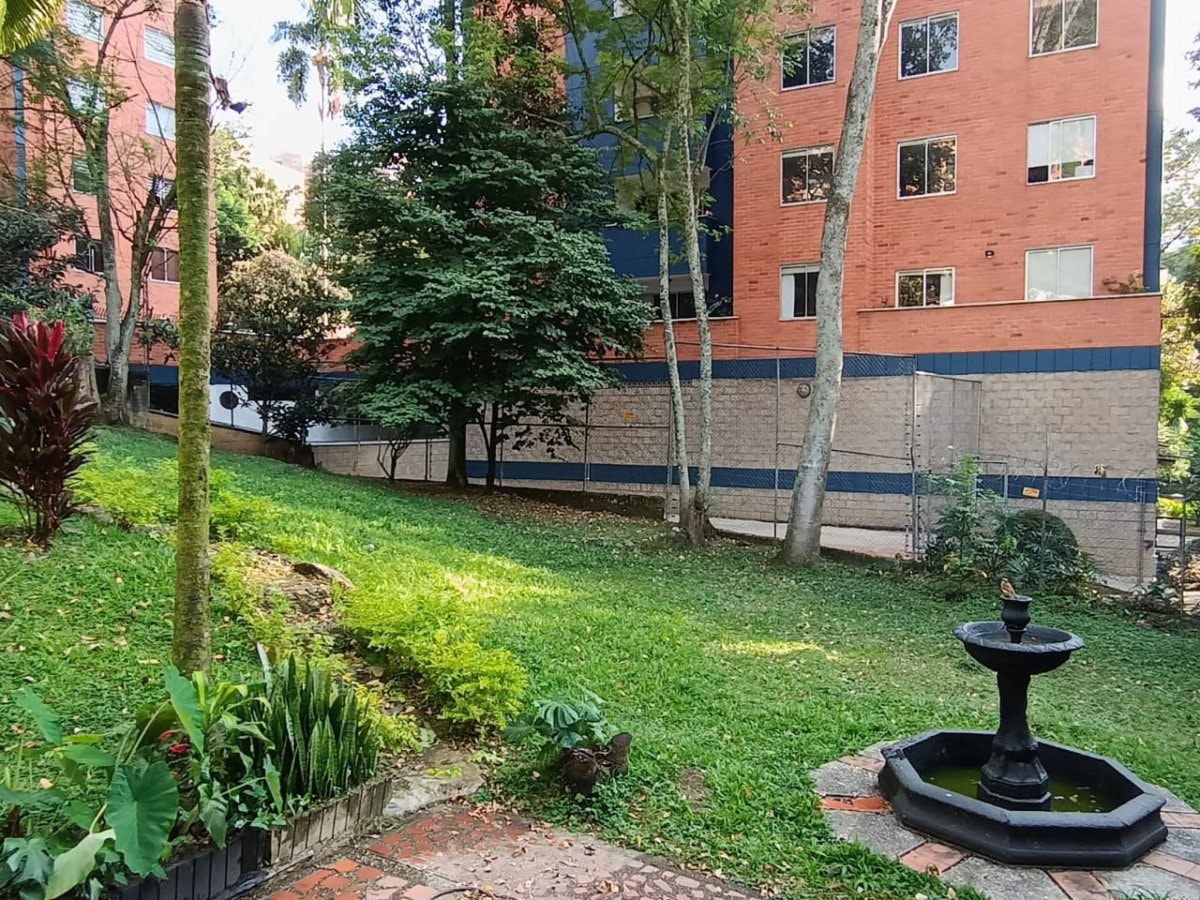 Local - Foto 2