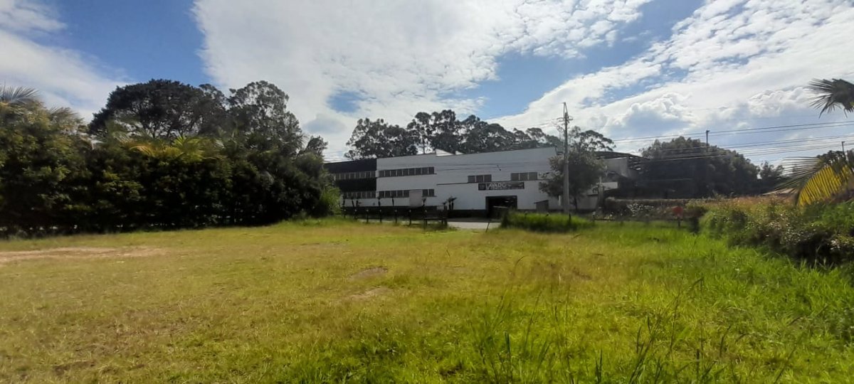 Lote - Foto 1