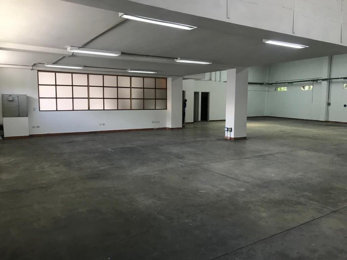 Bodega - Foto 4