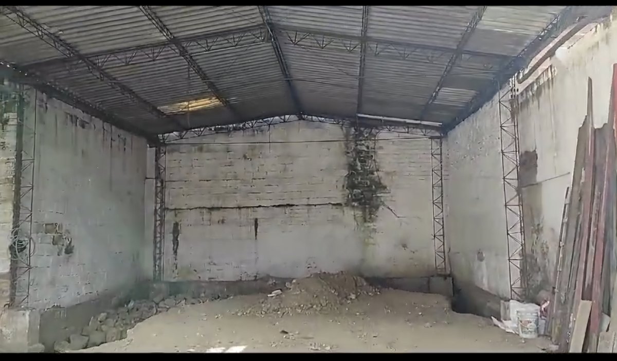 Bodega - Foto 2
