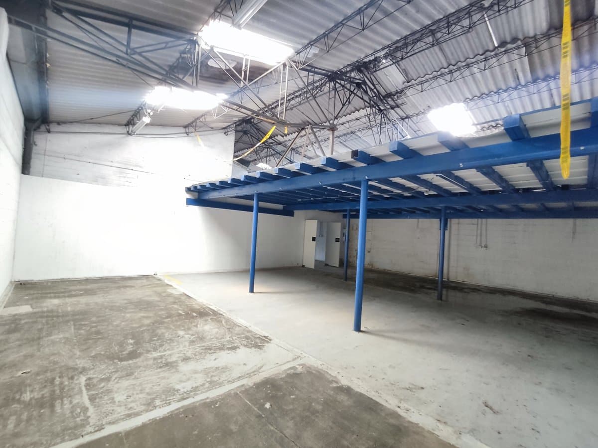 Bodega - Foto 12