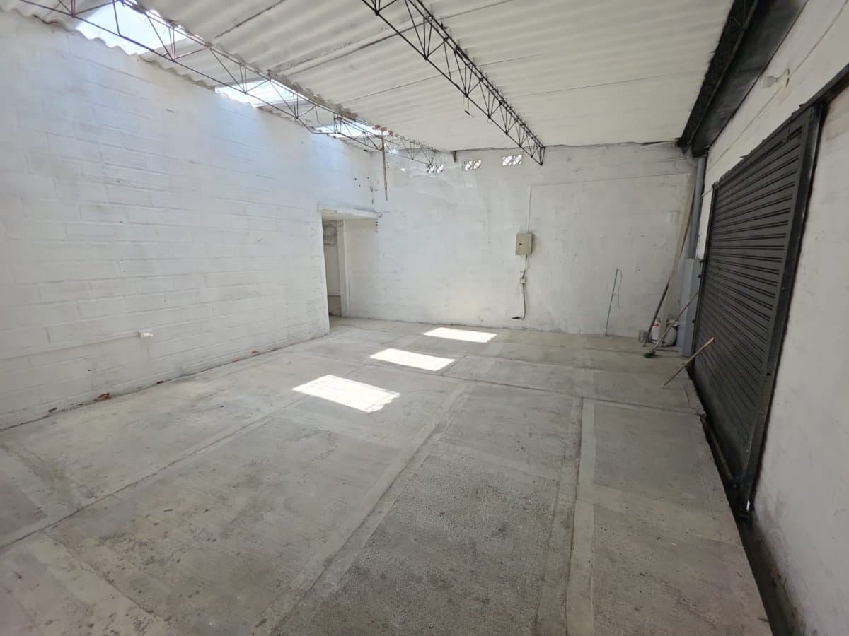 Bodega - Foto 15