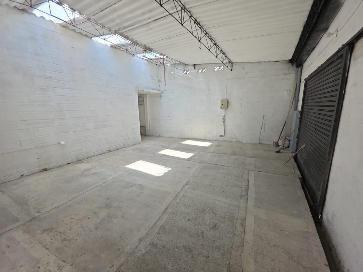 Bodega - Foto 15