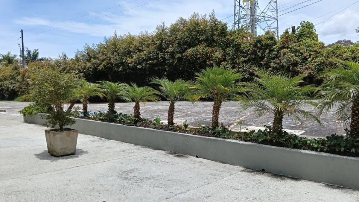 Local - Foto 5