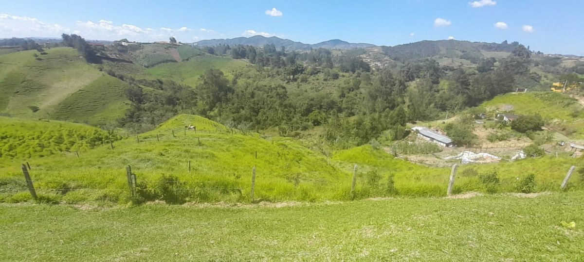 Lote - Foto 4