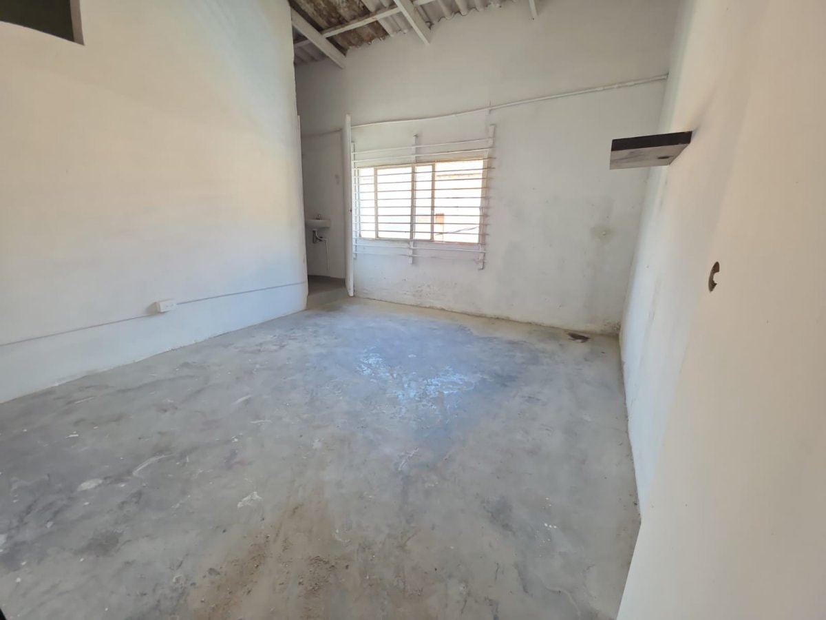 Bodega - Foto 12