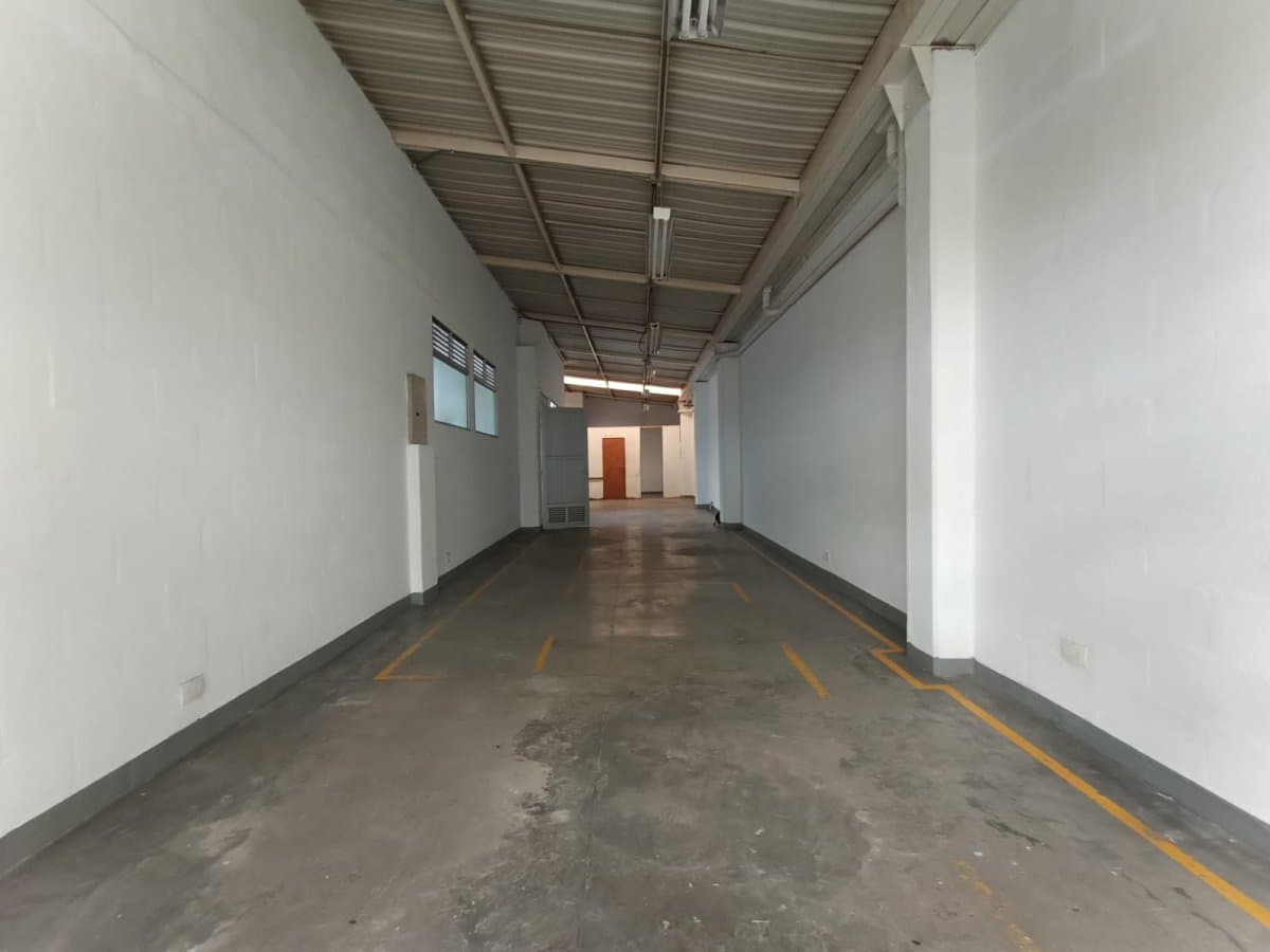 Bodega - Foto 2