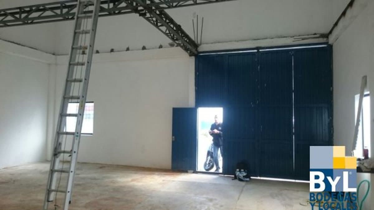 Bodega - Foto 6