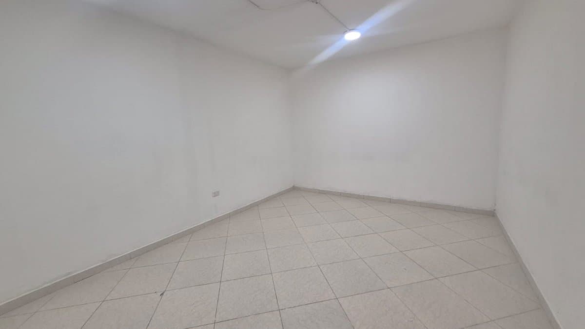 Bodega - Foto 7