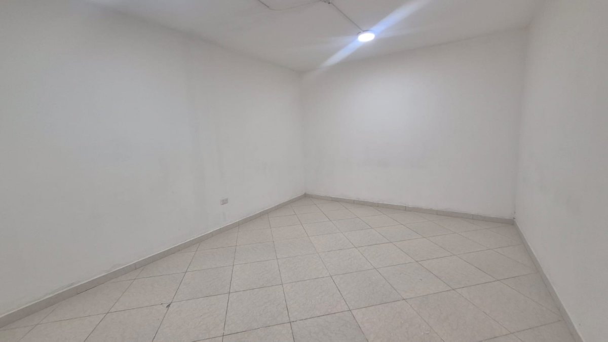 Bodega - Foto 7
